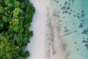 An aerial view of a wet tropics rainforest bordering a white sandy beach and shallow turquoise waters. Daintree National Park, Queensland.