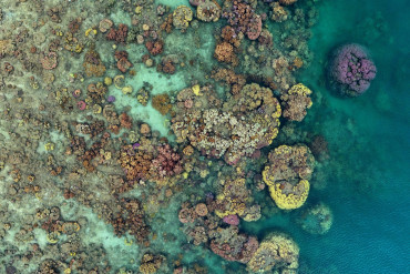 An aerial view of a coral reef in the ocean