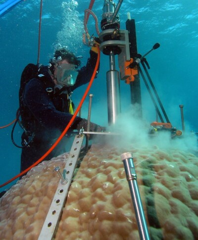 Scientist taking a coral core from a Porites bommie to examine changes to terrestrial runoff over time.