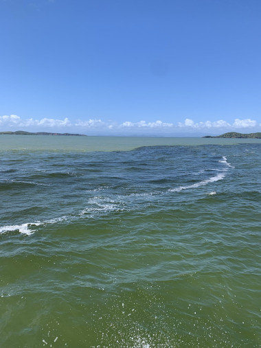 Coastal marine area showing green water which is an indicator of higher levels of nutrients.