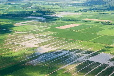 An agricultural landscape showing a large number of flooded fields among sugarcane.