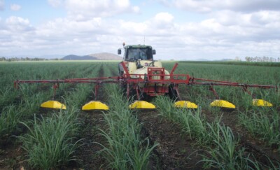 Tractor applying pesticides to a sugarcane field using a banded sprayer which has nozzles to target sugarcane rows.