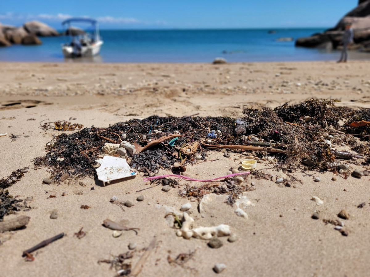 Collection of debris including microplastics on the shoreline among seaweed with ocean in the background.