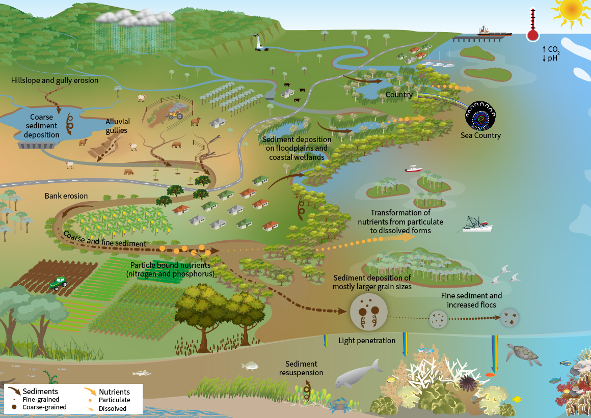 Diagram of concepts for Theme 3 showing important components