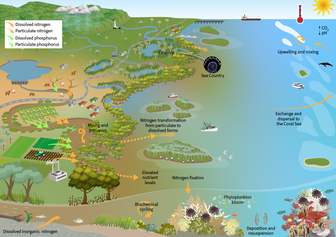 Diagram of concepts for Theme 4 showing important components