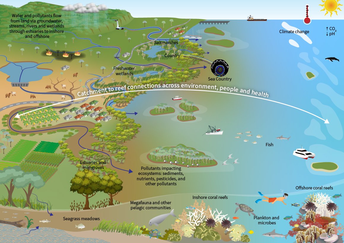 Diagram of concepts for Themes 1 and 2 showing important components