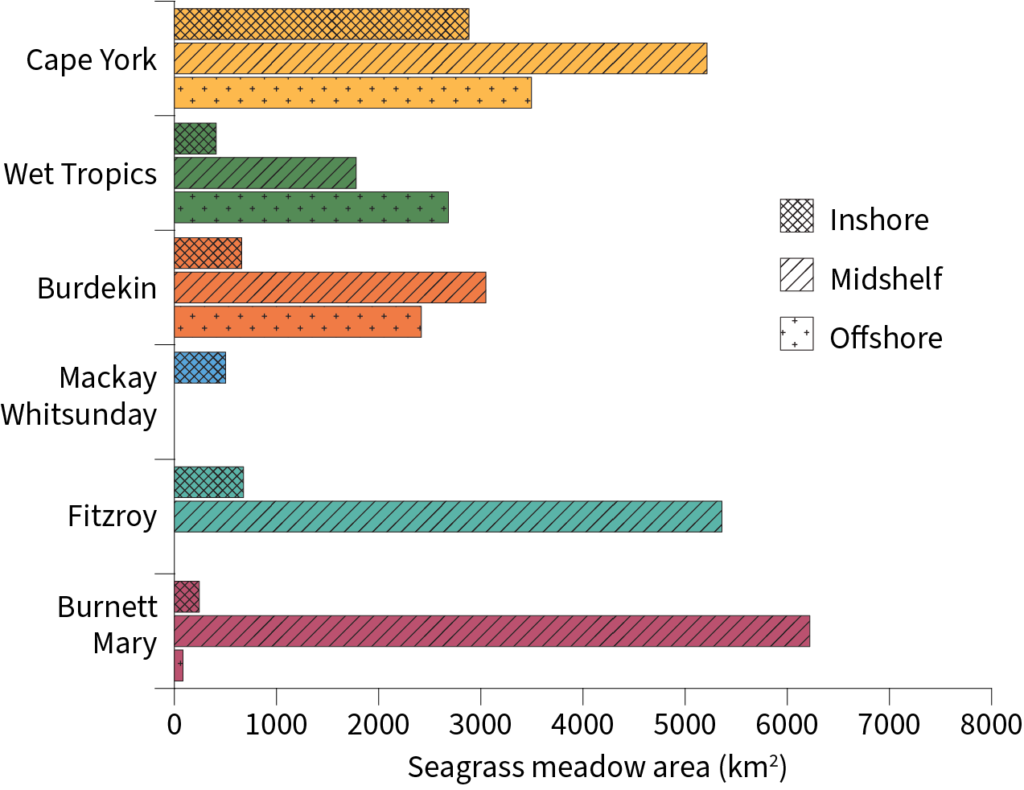Graph of the area of seagrass in square kilometers in the inshore, midshelf and offshore zones of the Cape York, Wet Tropics, Burdekin, Mackay Whitsunday, Fitzroy and Burnett Mary regions of the Great Barrier Reef