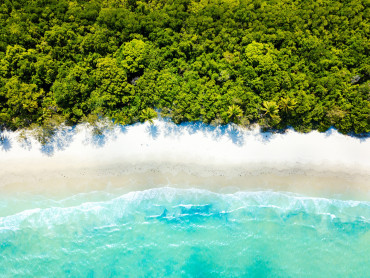 An aerial view of a wet tropics rainforest bordering a white sandy beach and shallow turquoise waters in Cape Tribulation.