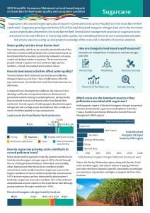 Cover of Sugarcane Topic Summary PDF