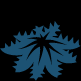 Crown-of-thorns starfish graphic