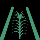 Controlled traffic farming graphic