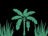 Grass buffer strips graphic