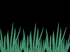 Groundcover graphic