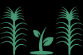 Improving farming systems graphic
