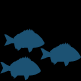 Fish nursery graphic