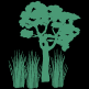 Riparian zones graphic