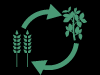 Crop rotation graphic