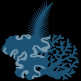 Soft coral graphic