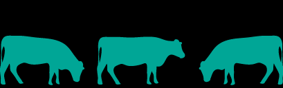 Overgrazing graphic