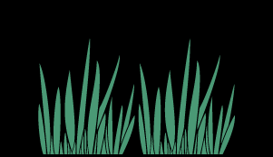 Groundcover graphic