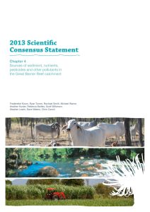 Cover of the 2013 Scientific Consensus Statement Chapter 4