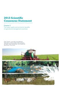 Cover of the 2013 Scientific Consensus Statement Chapter 5