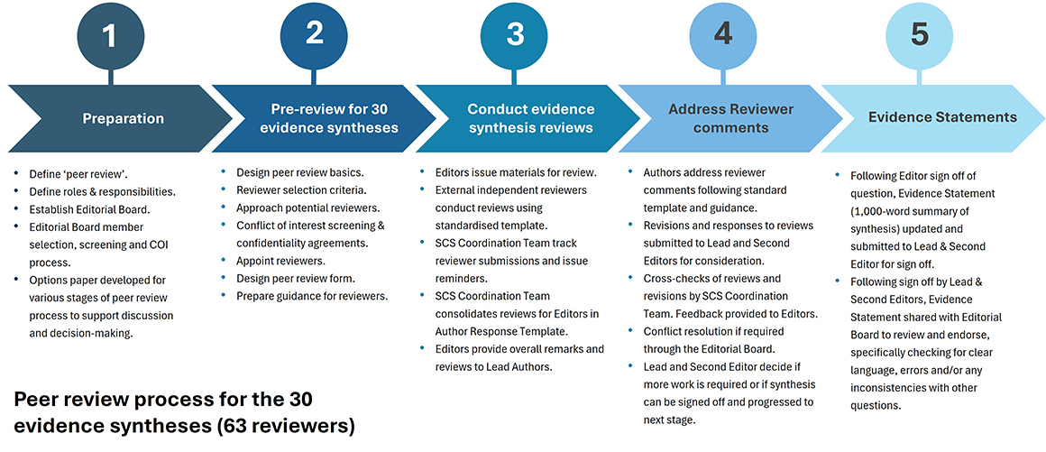 Graphic of the peer review process for the 30 evidence syntheses (63 reviewers)