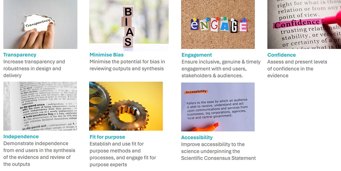 Seven guiding principles that have underpinned the delivery and implementation of all aspects of the 2022 Scientific Consensus Statement process: Transparency, Minimise bias, Engagement, Confidence, Independence, Fit for purpose, and Accessibility.