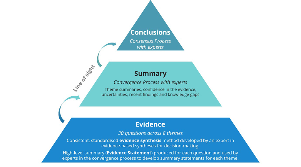 	Graphic showing the three primary outputs of the 2022 Scientific Consensus Statement: Evidence, Summary and Conclusions